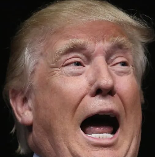 Occupy Democrats tweet media