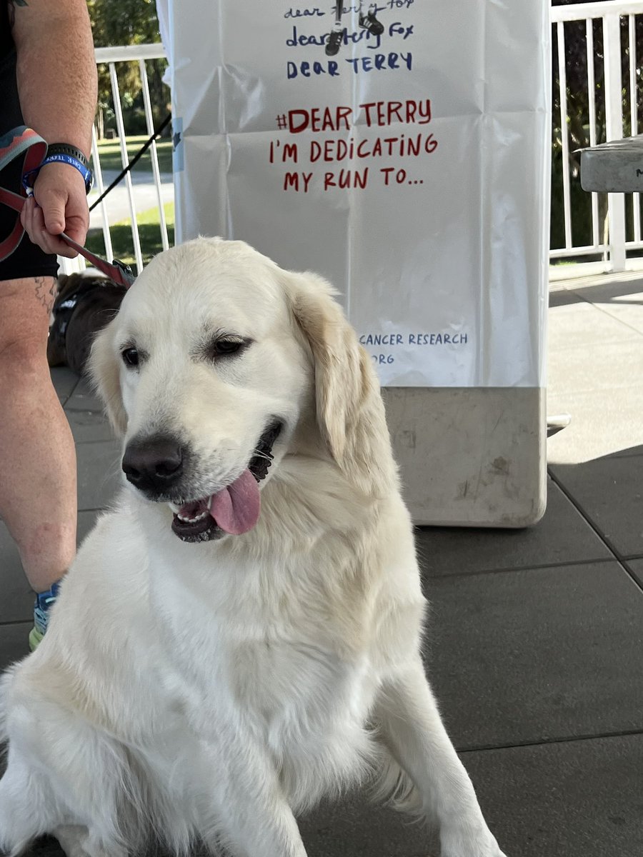 It was a great honour today to see everyone participating in the Terry Fox Run 2023 and helping raise funds for Cancer Research. Good work Mission! 

terryfox.org