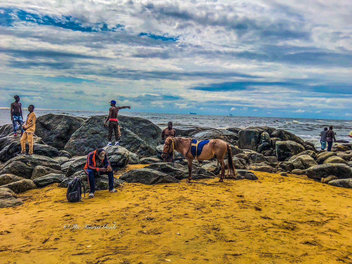 rodriguexplore's tweet photo. Les habitués de la cité balnéaire reconnaîtront certainement ce cheval 🐎.
Ngoyè Beach, Kribi, Sud, Cameroun 🇨🇲
#VisitCameroun | #kribi | #Cameroun | #TheToursitGuide https://t.co/u1avd4YCTT