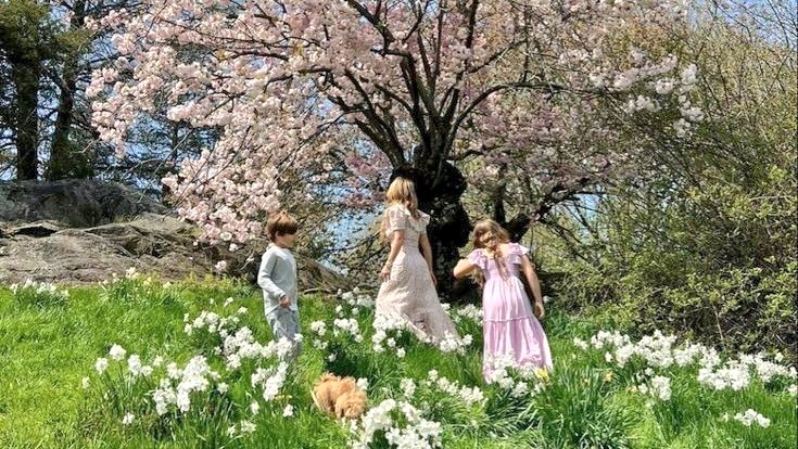 softdeIicacy's tweet photo. you will find me in my secret garden, hidden among the flowers. https://t.co/rhhKLWZJlO