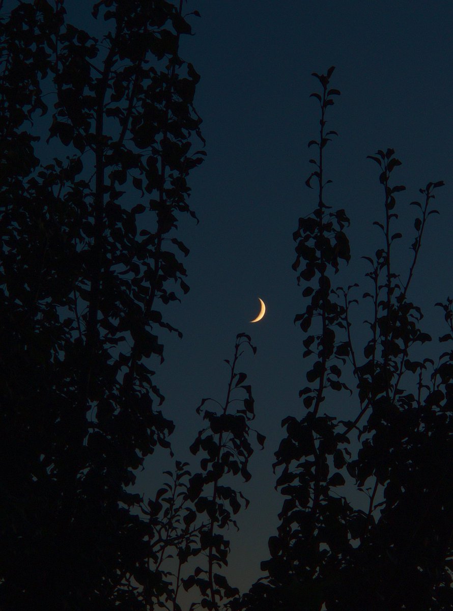 Hunt Time! 🥷🏻

💠 <a href="/playshutdown/">Shutdown</a> is a shooter powered by Unreal Engine. They have 15+ Investors. 

alphabot.app/shutdownxhunte…

For more on <a href="/HuntersofWeb3/">Hunters of Web3</a> 🥷🏻