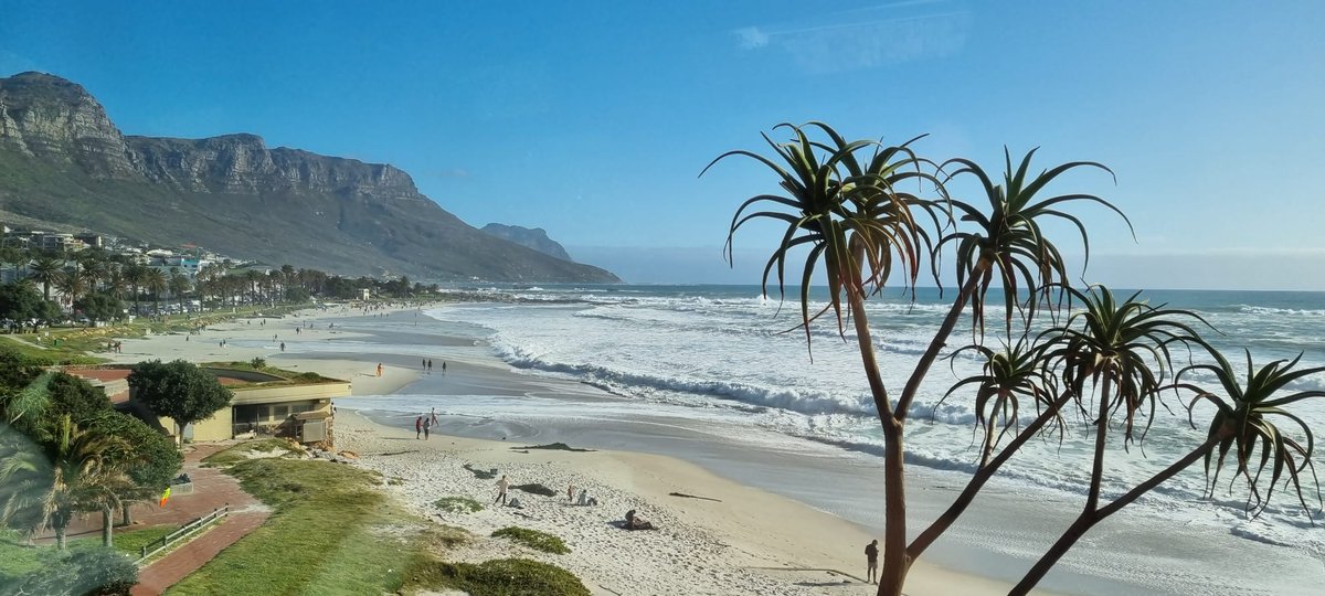 Syed Mustafa tweet media