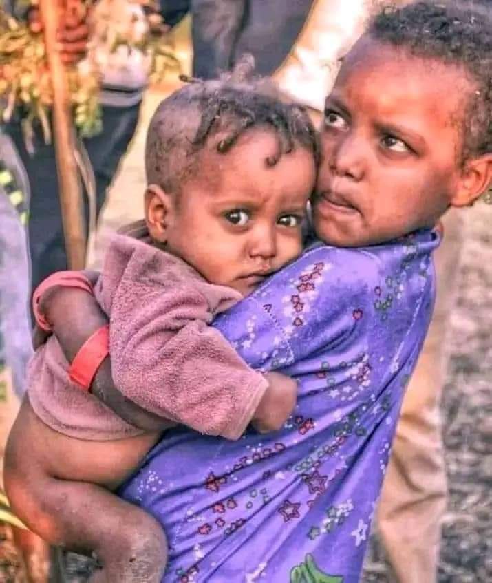 RasAsteraw's tweet image. Earlier today, fascist Abiy has killed #Amhara church goer civilians in a drone attack in a town called #Quaret. Last month, 100s of civilians were killed by drones at the centre of #Finoteselam city just because they are #Amhara! 
#AmharaGenocide
@hrw
@POTUS
@UKParliament