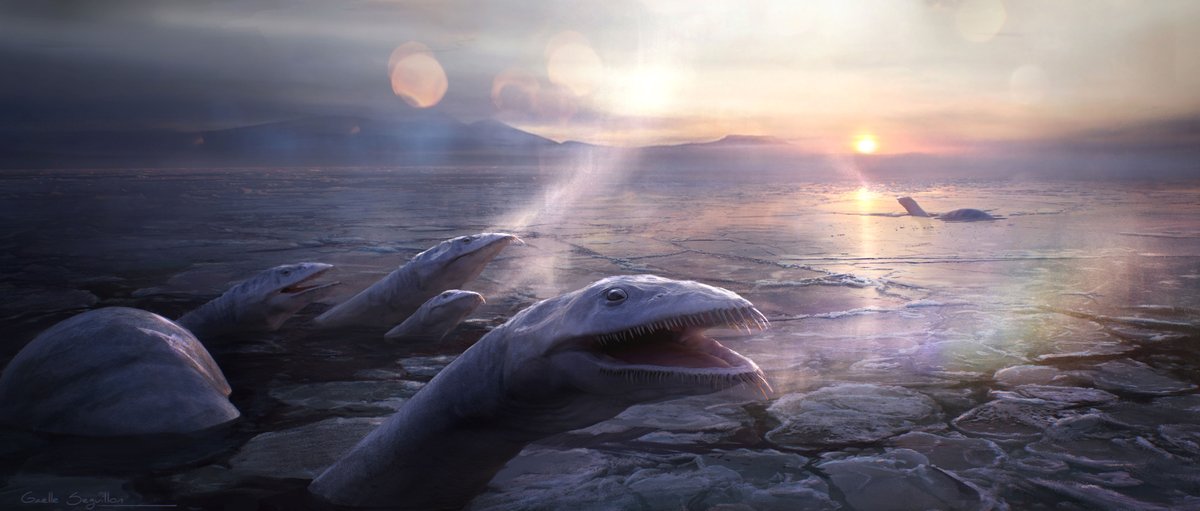 I did this concept art for #prehistoricplanet Season 2 for the OCEANS episode. This sequence follows a group of Morturneria Elasmosaurs taking their breath through the cracked the ice flow after a great migration to Antarctica. High-res : artstation.com/artwork/Xgxvb0