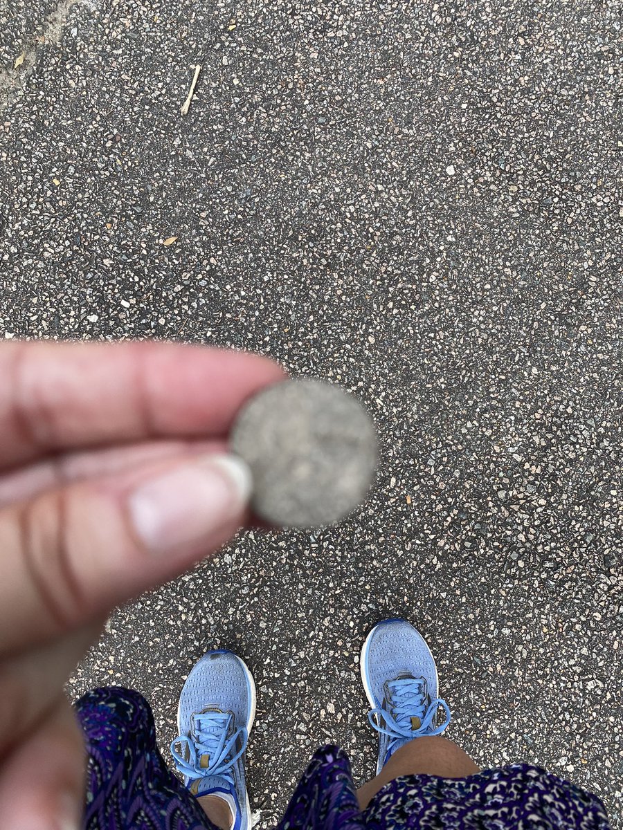 TheOtherLori's tweet photo. 5.75 miles Sat &amp; 8 miles Sun. Out on the Capital trail &amp; I heard the thing no runner ever wants to hear…’joooogggerr front’ 🤣 Oh &amp; found a quarter. #runchat #runnernotjogger #captrail #paid2run https://t.co/rG8OMhPWtD