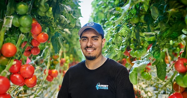 Canadian greenhouse grower recognized for leadership in career development <a href="/sunsetgrown/">SUNSET®</a> 
hortidaily.com/article/955997…