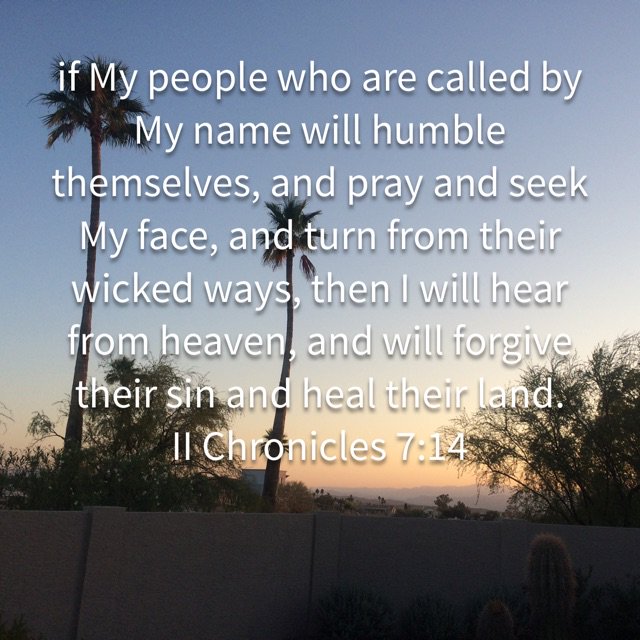 blueskies6123's tweet photo. 🙏Father we thank you for this day & the blessings we have. Thank you for loving us. I come to ask you to heal America. Thy Word says if we humble ourselves,repent & turn from our wicked ways you will heal our land. Forgive us Father & please make a way🙏 In Jesus name Amen. https://t.co/8IDSmVPO7q