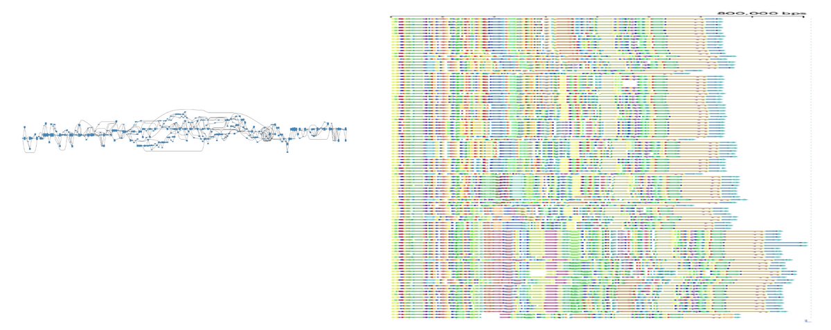 infoecho's tweet photo. Which demonstrate the richness of genomi diversity better? a pangenome graph (left) or Shared Block View (right, through principal bundle decomposition)?

#genomics #visualization https://t.co/Kgz89fXQTK