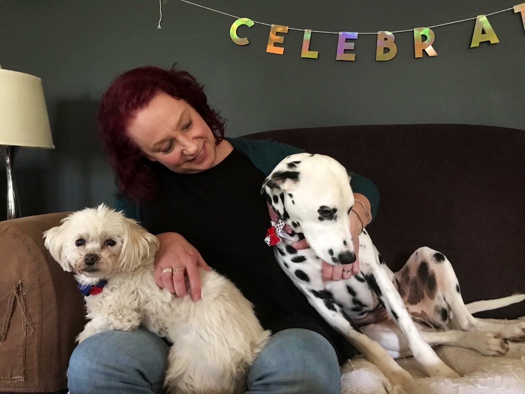 TraceyLeeAU's tweet photo. Three Frens on the couch #SundayPix3Things https://t.co/WkKpLMPrre