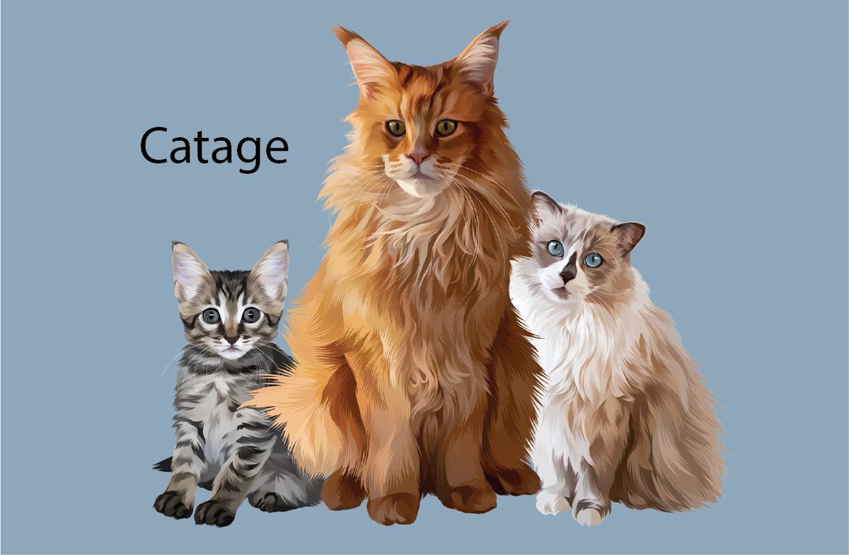 We are looking forward to Mallika Kumar's presentation at the Tuskegee College of Veterinary Medicine symposium this coming Tuesday! She will present her work in collaboration with @cj_charvet  and <a href="/thebraindogtor/">Ryan Gibson</a> at Auburn University.
<a href="/AuburnVetMed/">Auburn University College of Veterinary Medicine</a> <a href="/CVMTU/">Tuskegee University College of Veterinary Medicine</a>