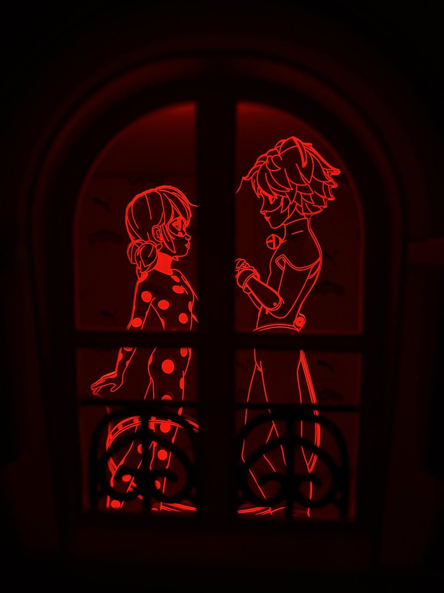 POV: You see Ladynoir by your parisian window