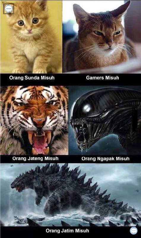 convomfs's tweet photo. 🤍 valdi sekali gak sie?? iya ga? https://t.co/0EawKkKzir