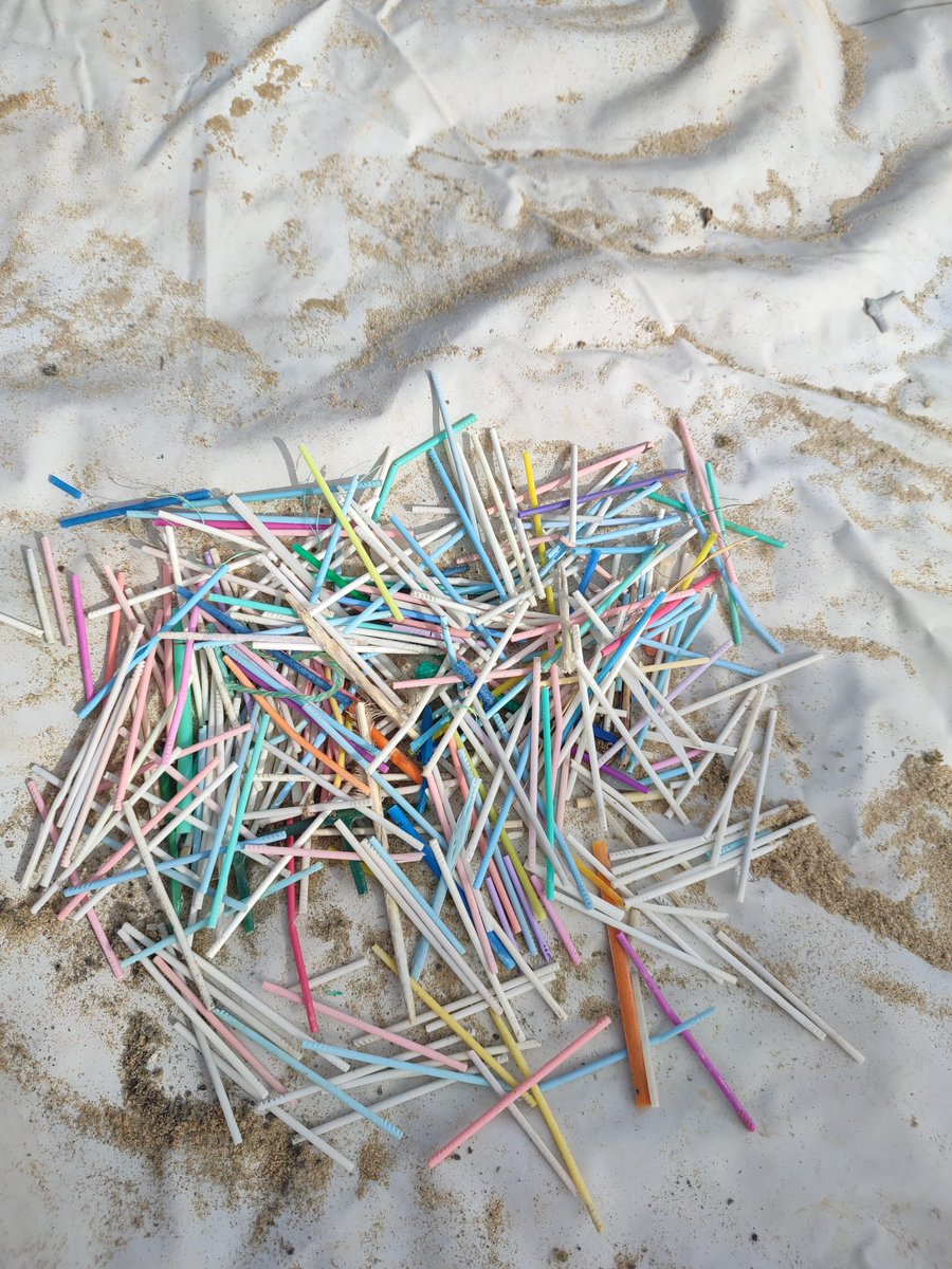 Esta es ya la séptima campaña ‘1m2 por las playas y los mares’ en la que participamos. 
La mayoría de los residuos extraídos han sido colillas, unas 3000, y bastoncillos.

#basuraleza #basuracero #1m2 #PorPlayasYMares #Doñana #Matalascañas #Libera1m2 #ProyectoLIBERA