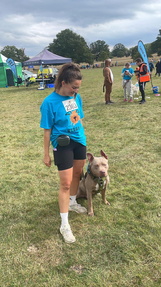 sophcoulthard's tweet image. Me and Billy ran the #muddydogchallenge today for @Battersea_ 
He loved every second of it. The organisers were wonderful no one batted an eyelid about his breed or the fact he was around so many people &amp;amp; dogs. 
The dog community knows. #endbsl
