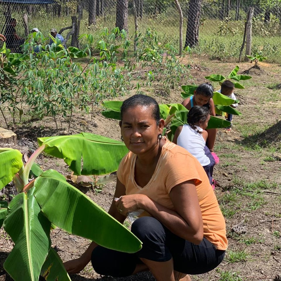 NMoskitiahn's tweet photo. #NoticiasMuskitiaHn Por ese gran apostolado como lo es educar, corregir, enseñar y sobre todo querer.
Extendemos nuestras felicitaciones a los maestros de Honduras, especialmente de la #Muskitia, que con pasión, entrega y dedicación, desafian incluso la adversidad al educar. https://t.co/rEGkPm9Z0l