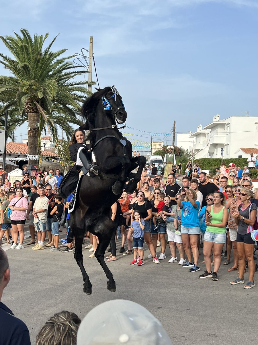 ANDY MAYO tweet media