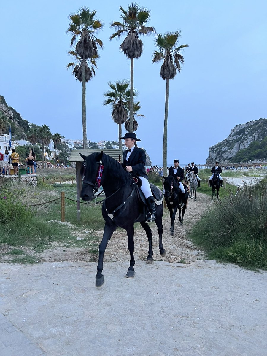 ANDY MAYO tweet media