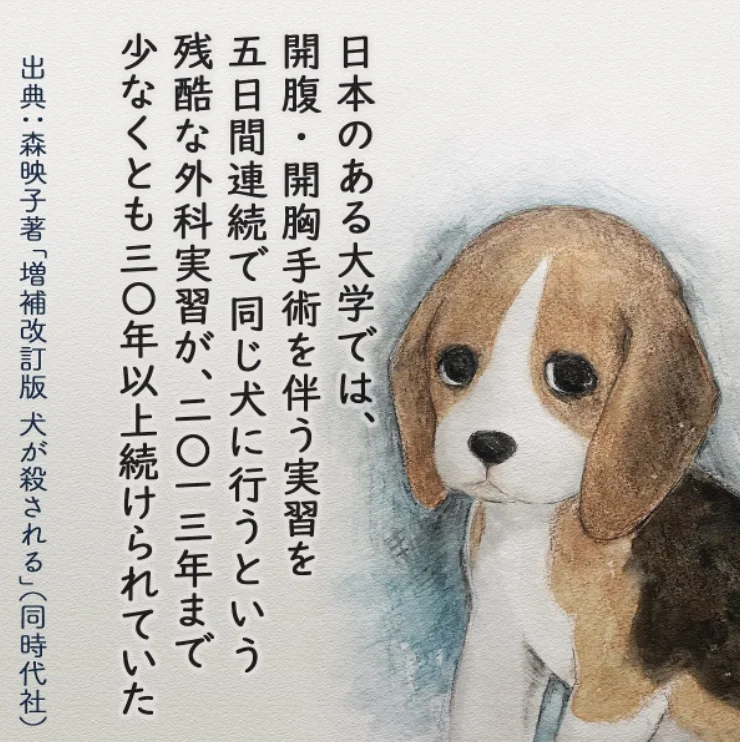 apshanada111's tweet photo. 生きているわけですから麻酔を使っても冷める時には激痛と苦しみを伴います。
キューンキューンと痛がっていたそうです。
でも次の日にはまた開腹手術

地獄です。
終わったら虫の息のままゴミ箱行きです。

『一頭の犬に手術を5日連続で行う実習』
⇒ https://t.co/5gNkV8a0PD 
@ameba_officialより https://t.co/HAnYVlO8Wb