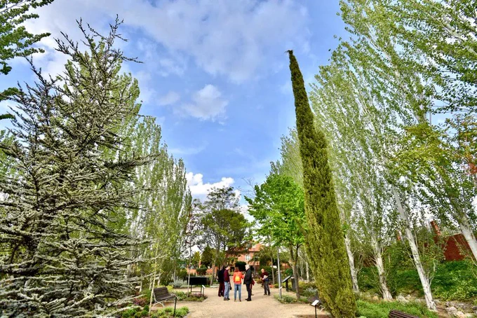Foto cedida por Ayuntamiento de Rivas