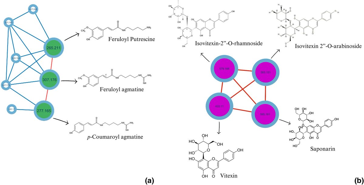 SilveiraER's tweet photo. 🌿🔬 Just published: Discovering the untapped treasure trove of antioxidants and antimicrobials in Conchocarpus! 📚 Our study unveils glycosylated flavones and amides with promising properties. 🔍 Read more in our new paper: https://t.co/tM1KIvLWOw https://t.co/4I9yQX7okk
