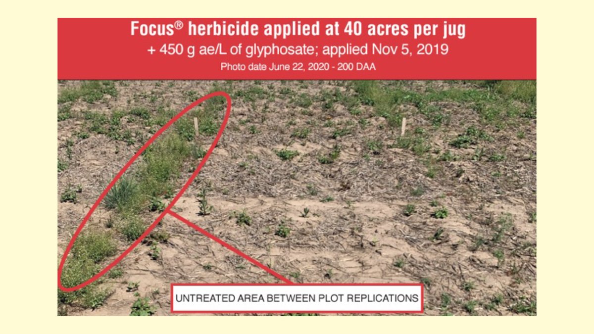 Fall is the perfect time to control pesky weeds with Focus® herbicide. 

It’s a complete solution that tackles emerged weeds with its Group 14 activity and then provides extended activity on a range of weeds in the spring with its Group 15 activity. bit.ly/43WPi13
