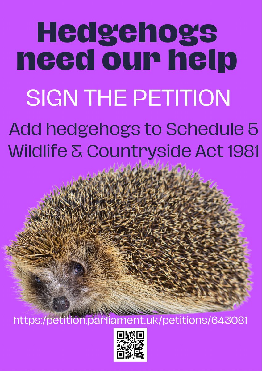 NorfolkBea's tweet photo. Today we rescued a wildlife rescue.
Monthly costs involved in running #WildTouch , utilities, essential maintenance
& emergency repairs can be overwhelming.
We cleared the drains gratis.
Support your local rescue in any way you can…and sign my petition https://t.co/1dOonUJjyK https://t.co/mZSjuZmiKx