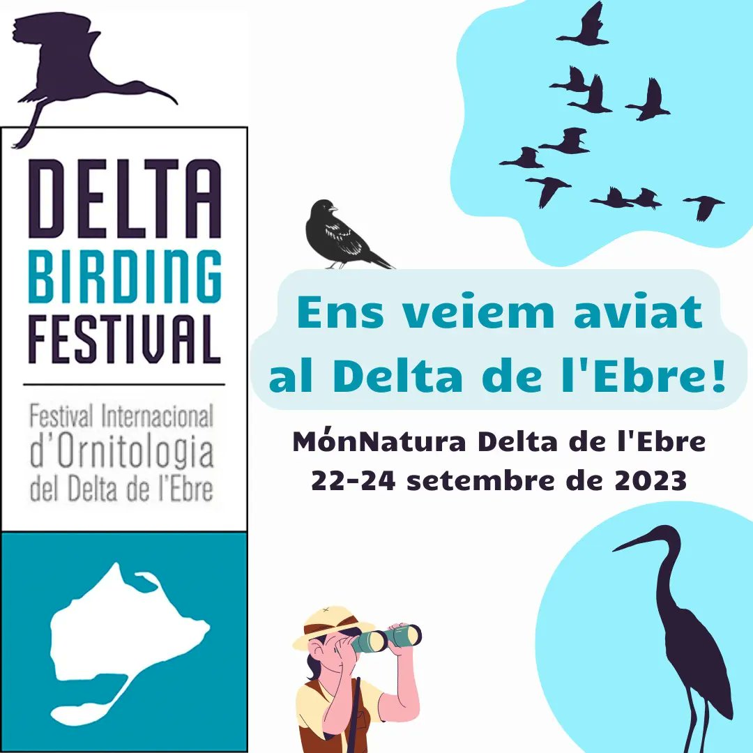 D'aquí a una setmana, el Delta Birding Festival obrirà les seves portes als visitants!
Podeu trobar més informació sobre les activitats, com arribar i serveis al web: deltabirdingfestival.com i a Instagram: @deltabirdingfestival
@DeltaBirdingF @ICOcells #ocells #DBF23