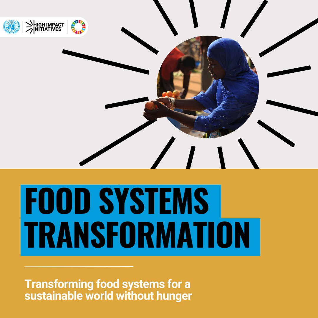 FAONewYork's tweet image. Up now Ministerial Panel discussion on High Impact Initiative on #FoodSytems Transformation! 

Featuring🗣️
H.E. @mariammalmheiri 🇦🇪
H.E.@RyglewskiS 🇩🇪
H.E. Vivi Yulaswati 🇮🇩
H.E. @SGatti_IT 🇮🇹

📺 bit.ly/3Pka1qz 

#SDGActionWeekend #UNGA #SDGSummit