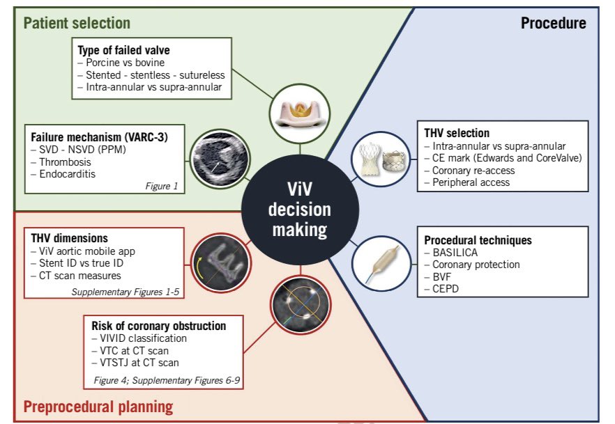 💡Transcatheter aortic valve implantation in degenerated surgical aortic valves, EuroIntervention State of the Art Review 🫀 #tavi #valveinvalve #cardiology #sic #icot #cathlab #future