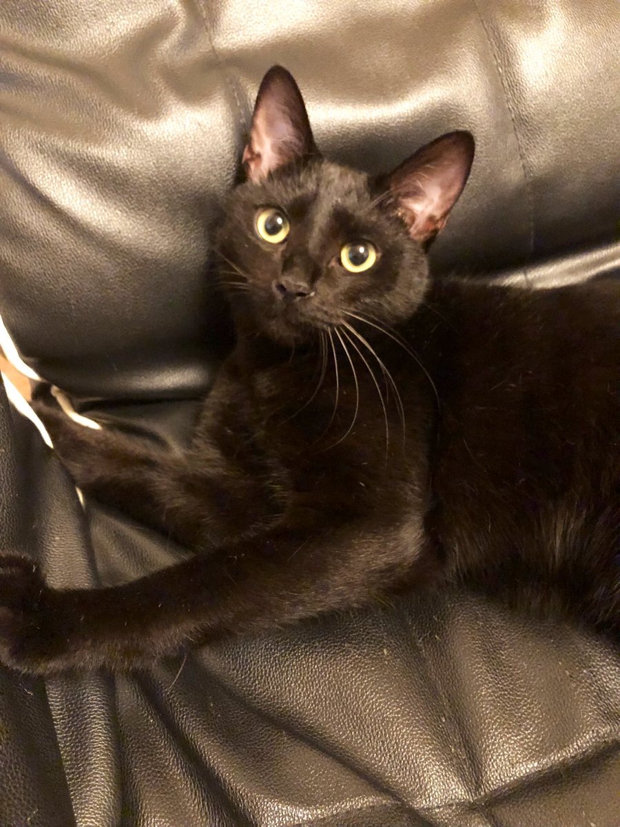 レオくん - Search / X