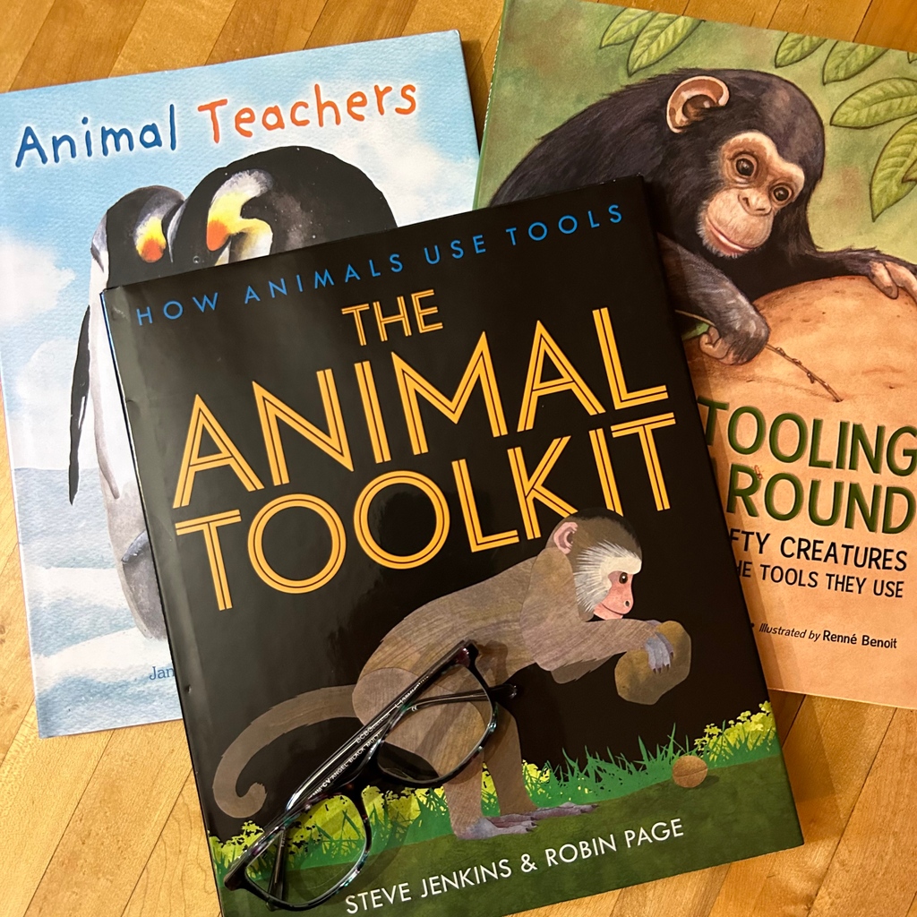 Still miss Steve Jenkins. Don't miss his newest (and maybe last) book The Animal Toolkit, though. Make it part of a set with Animal Teachers by @janethalfmann & Katy Hudson and Tooling Around by Ellen Jackson & Renné Benoit #nurturinginformedthinking #teachnonfiction #NFtextset