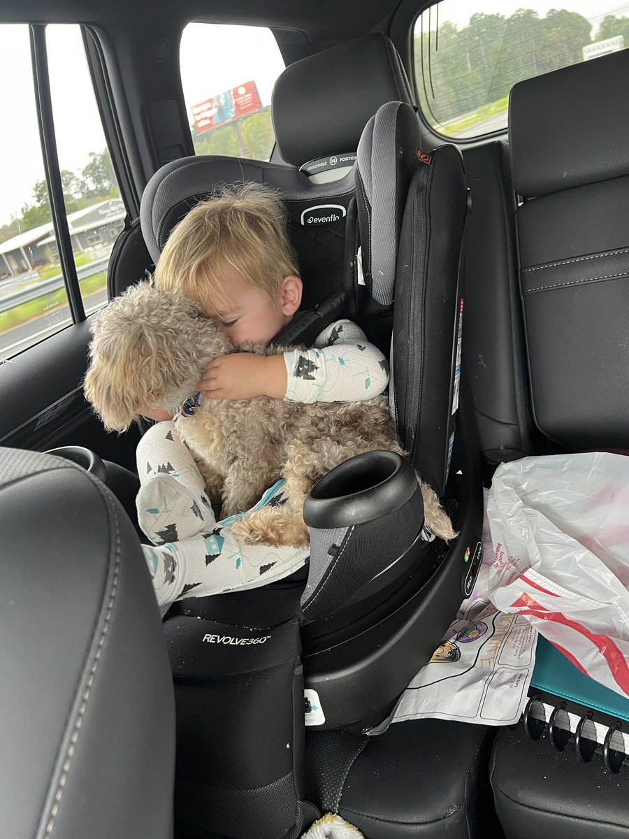 AdamGOD_WIN's tweet photo. #BooRadley 🐶 | ♥️ even if he did “chuck” him to the floorboard after the pic. https://t.co/Eqi5oWTyPz