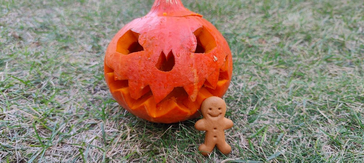 Der heutige Lebkuchenmann bereitet sich schon auf Halloween vor.