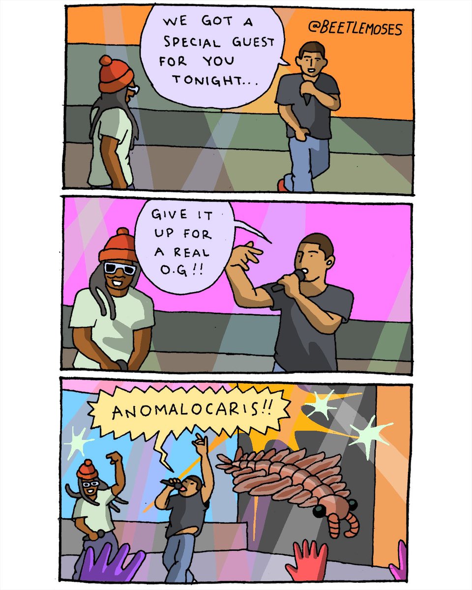 beetle moses (@beetlemoses) on Twitter photo 