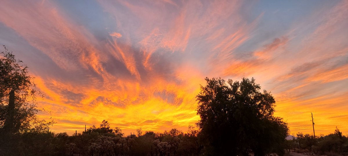 SWDesertLiving's tweet photo. #Tucson #monsoon #desertsunsets #sunsetphotography #sunsets #sunsetfire #Arizona #NatureBeauty #cloudpink #desert #Views #explore https://t.co/MDMKh4qBiR