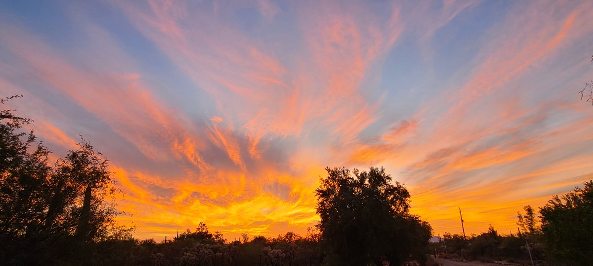 SWDesertLiving's tweet photo. #Tucson #monsoon #desertsunsets #sunsetphotography #sunsets #sunsetfire #Arizona #NatureBeauty #cloudpink #desert #Views #explore https://t.co/MDMKh4qBiR