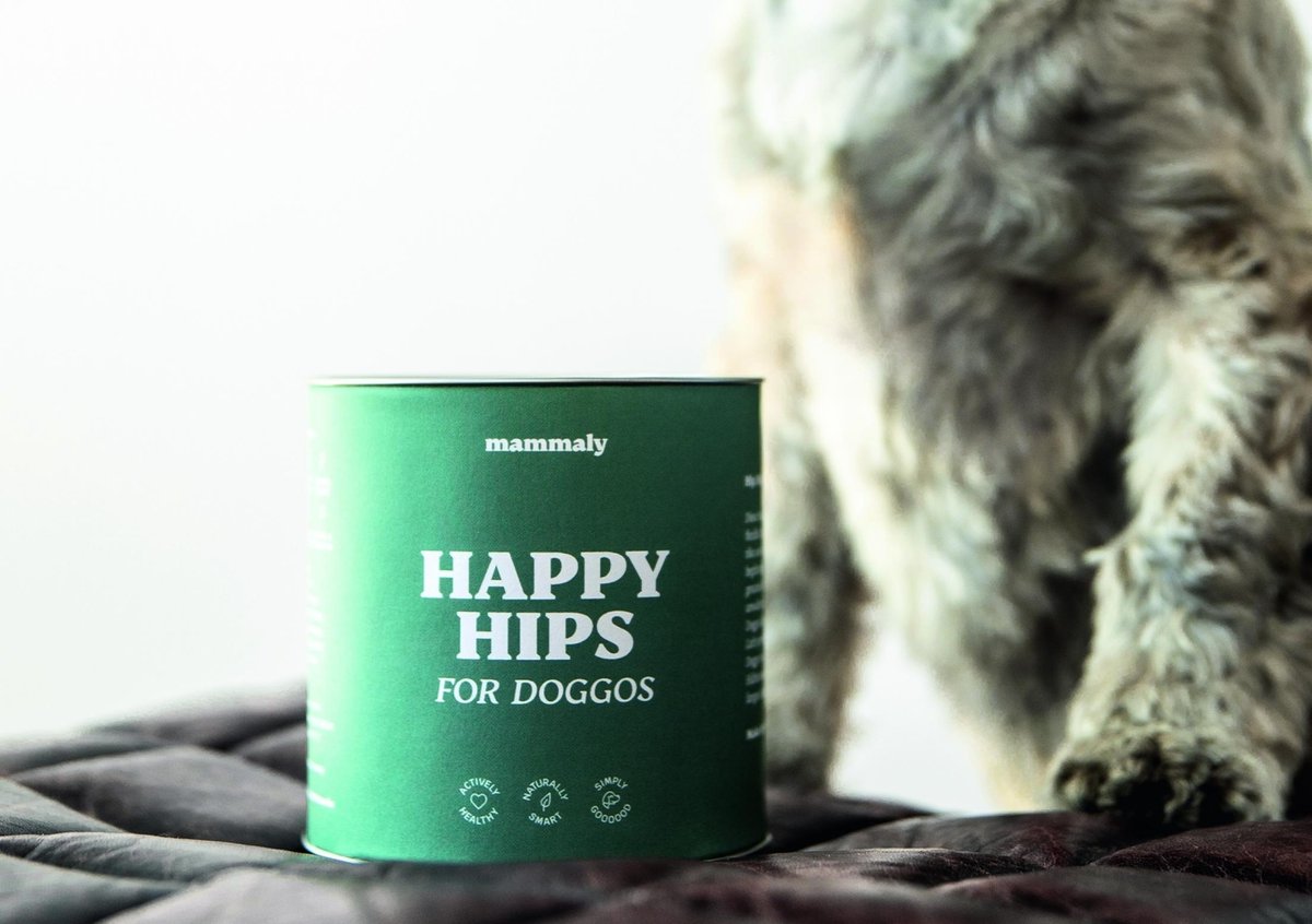 cpgwire's tweet photo. (4/8) German pet supplements brand mammaly secured €14M co-led by Iris Ventures and Five Seasons Ventures.

Mammaly was founded in 2020 by Stanislav Nazarenus and Alexander Thelen. https://t.co/0SddPA8qcB