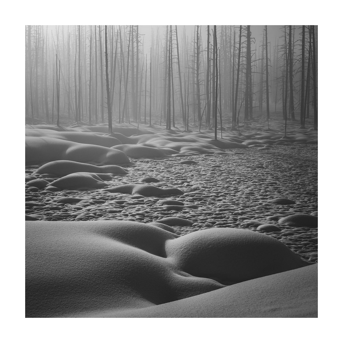 Arild Heitmann tweet media