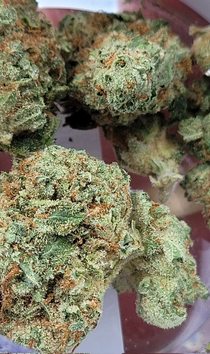 DrKongRKL's tweet photo. π Happy #SundayMorning π
Only right to whip out Bio Jesus βοΈ from @crescolabs π¨ today!
#DrApproved π
$Jesus @jesustokens
#Mmemberville https://t.co/Yl7Okkjrkv