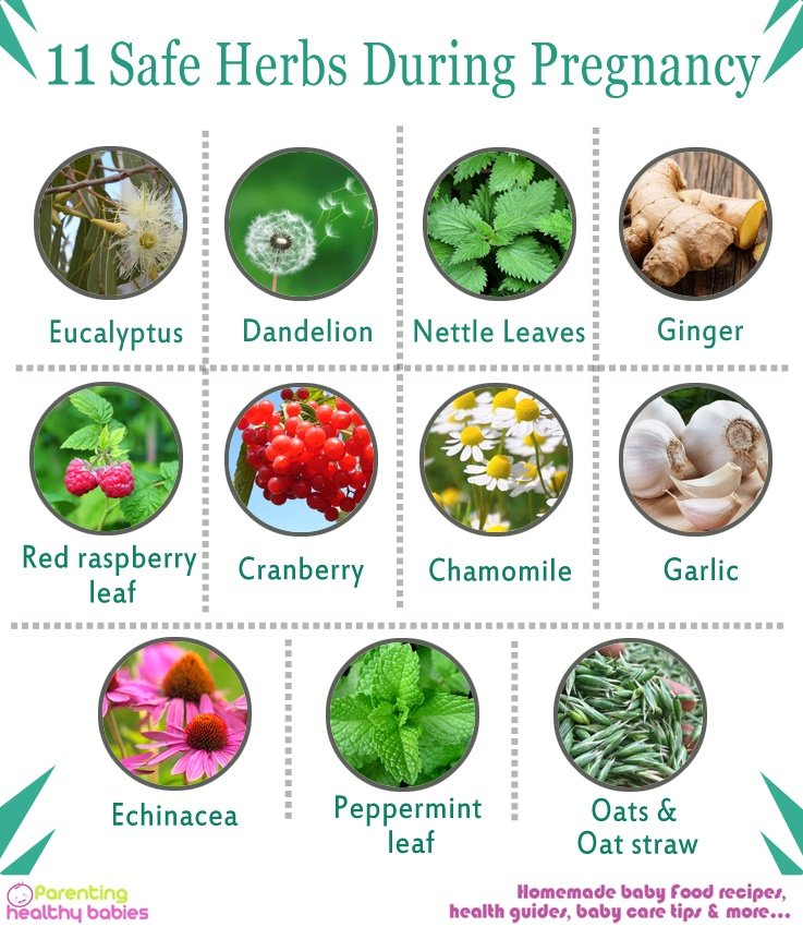 THELadiiPazzion's tweet photo. Herbs for pregnancy:
Add herb and flowers onto the list if you will... https://t.co/S87u4nGODI