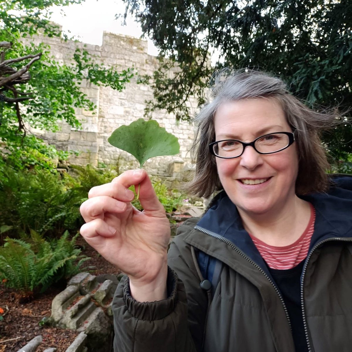 YorkBikeBelles's tweet photo. Join us on Sunday 1 October to discover York's remarkable City Trees! We'll enjoy the gardens, parks and grottos of the city centre. Do you know which city tree species were around before the dinosaurs? πBook at https://t.co/ifSEW5ajBy #RemarkableTrees #TakeTheGreenRoute https://t.co/SUT9Er6NpY