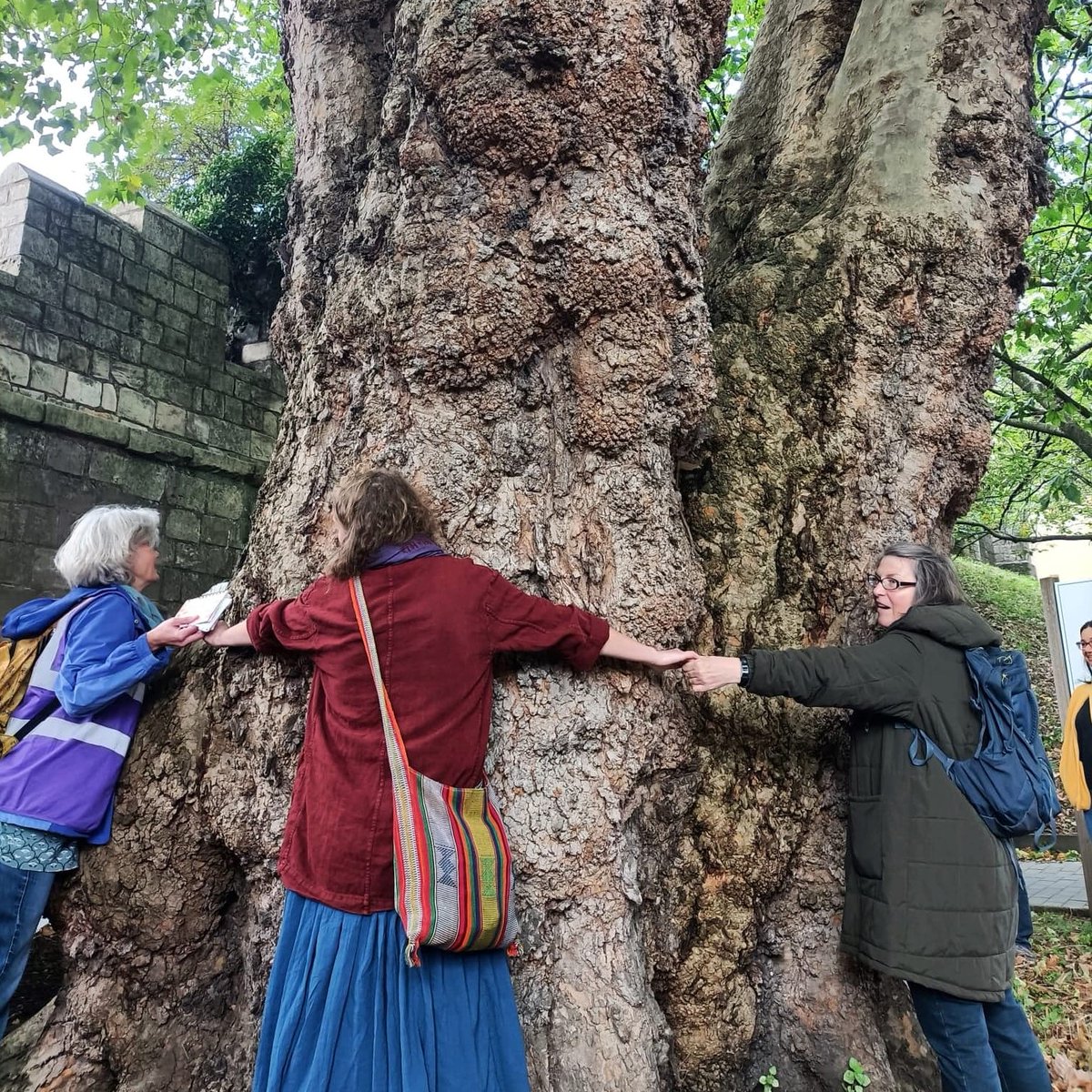 YorkBikeBelles's tweet photo. Join us on Sunday 1 October to discover York's remarkable City Trees! We'll enjoy the gardens, parks and grottos of the city centre. Do you know which city tree species were around before the dinosaurs? πBook at https://t.co/ifSEW5ajBy #RemarkableTrees #TakeTheGreenRoute https://t.co/SUT9Er6NpY