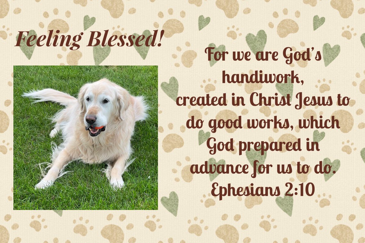 LCCK9Anna's tweet photo. You are an amazing person. Wishing you a happy and blessed Sunday! ❤️🙏🏻🐾

#Sunday #blessed #GodIsLove @K9ComfortDogs https://t.co/rvreCnUTHN