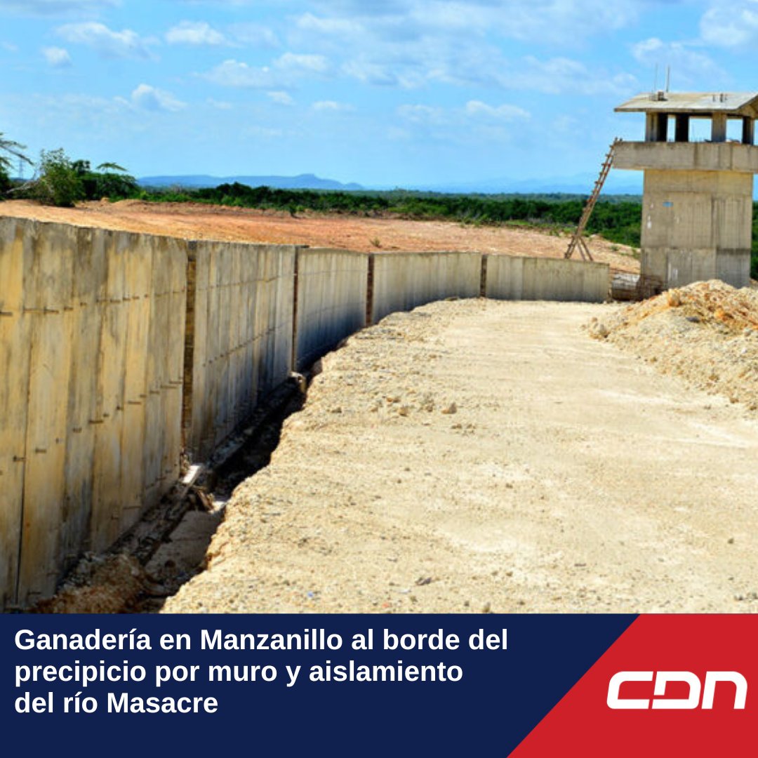 #NoticiasFindeSemana: La ganadería en Pepillo Salcedo, Manzanillo, provincia Montecristi, está al borde del precipicio luego de la construcción del muro fronterizo. Esto porque quedaron aislados para el uso del agua en el río Masacre que desemboca en esa demarcación.