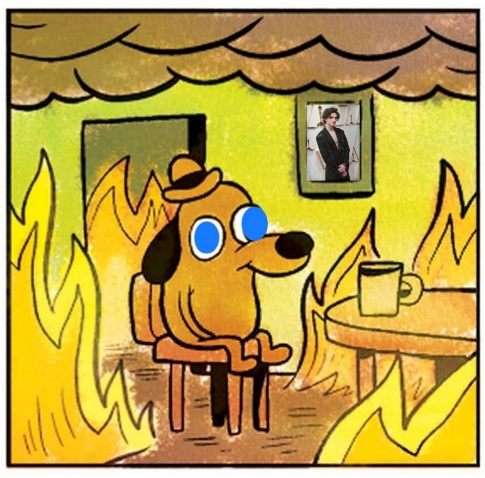 Wiosna Pustyni tweet media