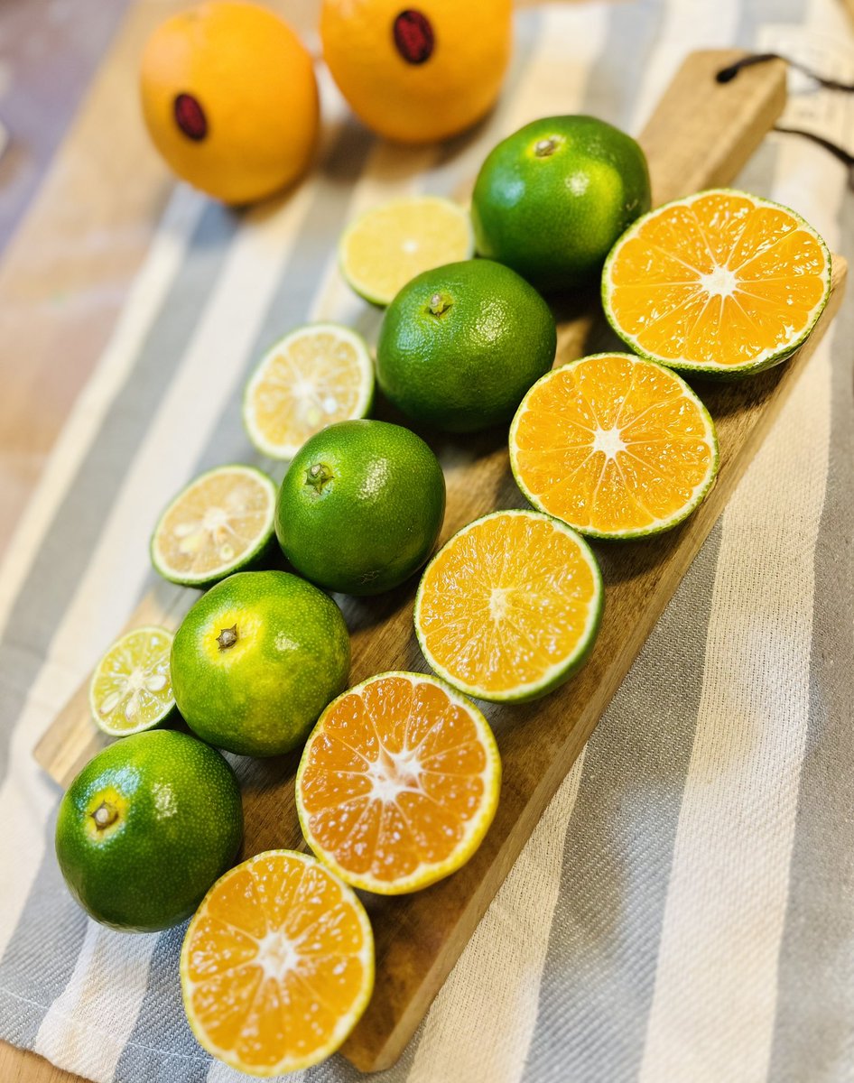 フルーツ大好き様 楽天市場】お中元 【冷凍】＜銀座千疋屋＞銀座フルーツ杏仁