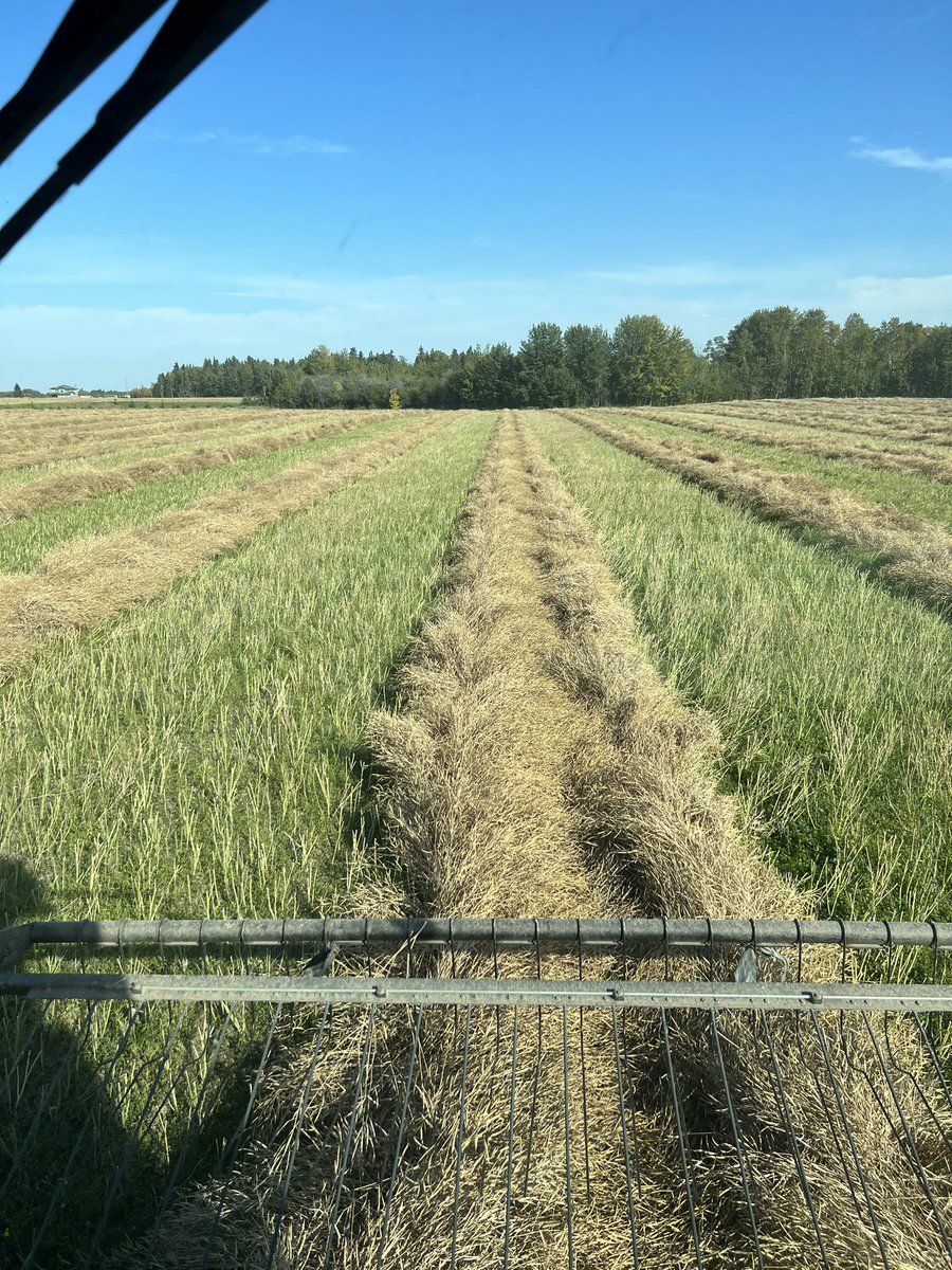 BohnLisa's tweet image. Harvest 2023