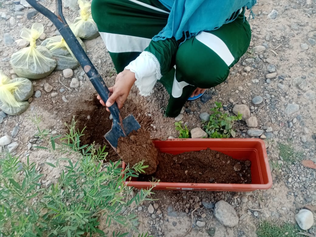 لمن دواعي الفخر أن تواصل بوصلة رحلة صُنع السماد وهذه المرة بتطبيق التجربة في المنازل .
رحمة الشريانية عضوة بالفريق تُشاركنا هذه التجربة، وبعد فحص السماد تبين أنه صالح للزراعة ولله الحمد.
#تعلم_مستدام
<a href="/eso_oman_/">Environment Society of Oman جمعية البيئة العمانية</a>