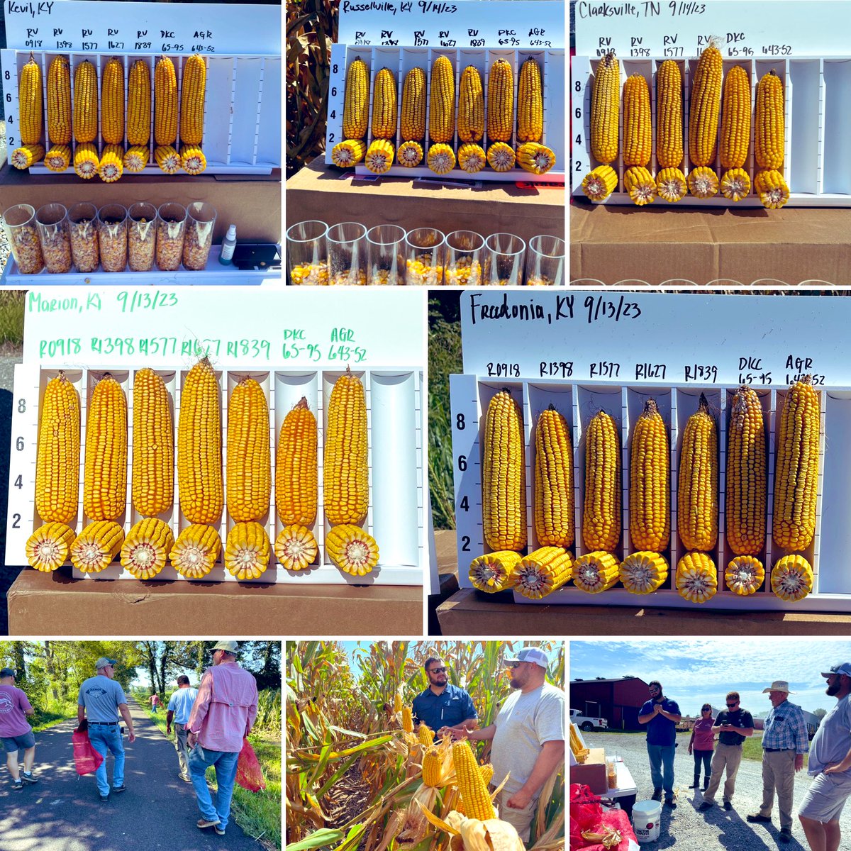 Some of the stars 🌟’s on the Kentucky American Seeds <a href="/RevereSeed/">Revere Seed</a> crop tour last week in Kentucky. Anxiously awaiting the combine. #harvest23 #Revere