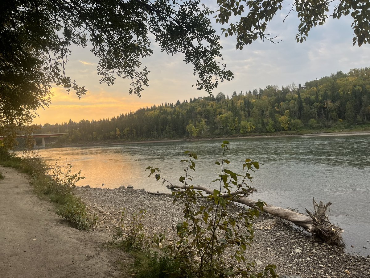 Caseychoma's tweet image. Beautiful morning run through the best of fall. Barring no more smoke today an afternoon wedding and some good ole yard time.  Enjoy your Sunday runs! #yegvirtualrunningclub #fallrunning #runchat